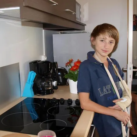 Le Saumon בית נופש Orist